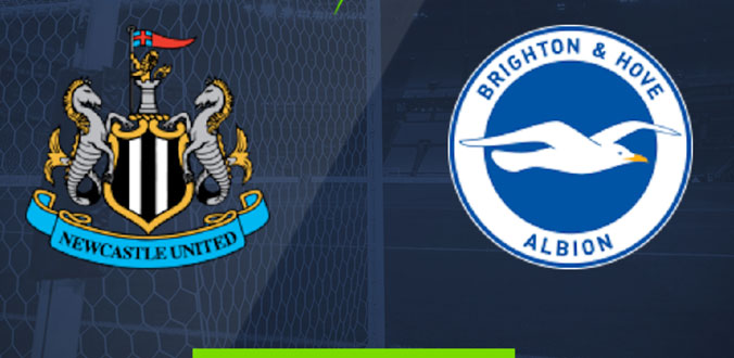 newcastle-vs-brighton-23h30-ngay-21-9