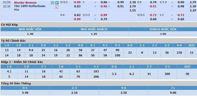 nhan-dinh-soi-keo-bong-da-bremen-vs-hoffenheim-hom-nay-21h30-ngay-26-1-3