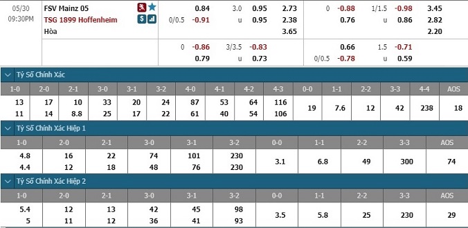 nhan-dinh-soi-keo-bong-da-mainz-05-vs-hoffenheim-hom-nay-20h30-ngay-30-5-3
