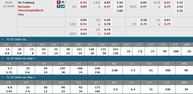 nhan-dinh-soi-keo-bong-da-freiburg-vs-gladbach-hom-nay-01h30-ngay-6-6-3