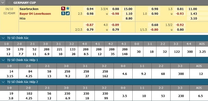 nhan-dinh-soi-keo-bong-da-saarbrucken-vs-leverkusen-hom-nay-01h45-ngay-10-6-3